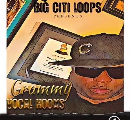 Diggy Loops Grammy Vocal Hooks WAV